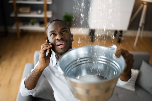 Best Flood damage cleanup  in Blue Mound, TX