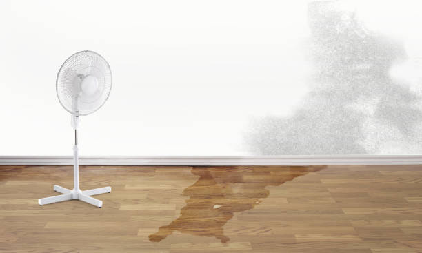  Blue Mound, TX Water damage restoration Pros