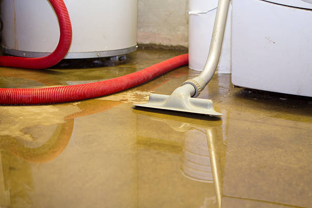 Best Sewage cleanup and water damage restoration  in Blue Mound, TX