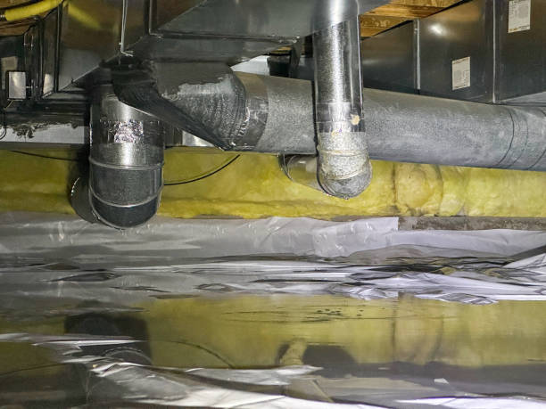 Best Basement water damage restoration  in Blue Mound, TX